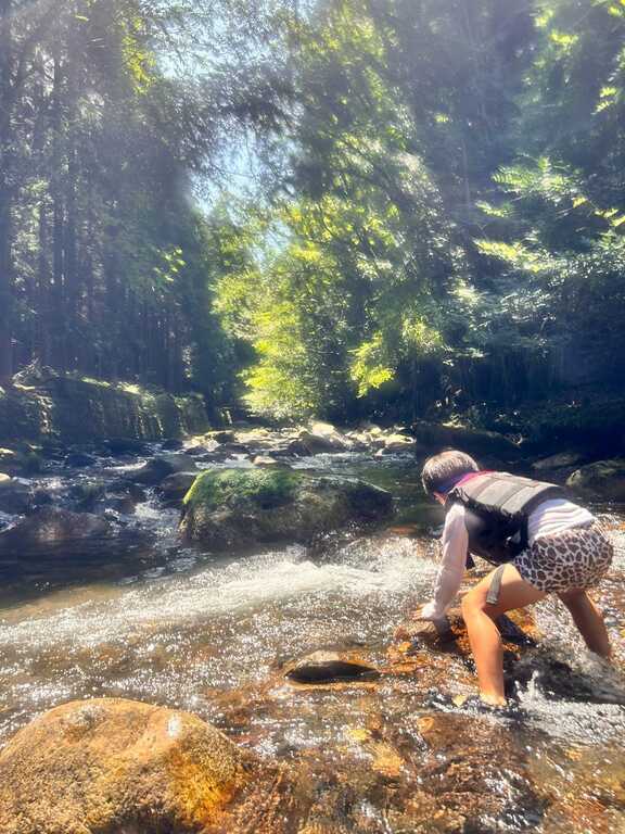 渓流での水遊び